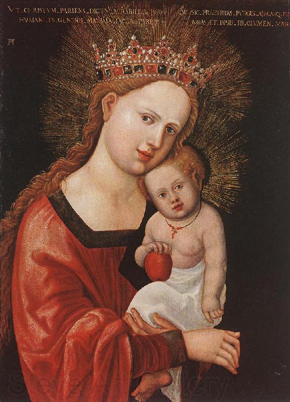 ALTDORFER, Albrecht Mary with the Child  kkk Norge oil painting art